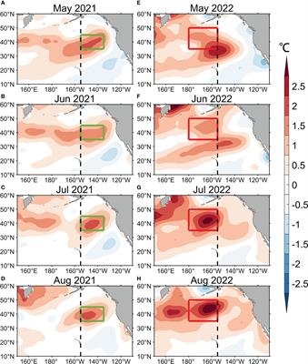 Characteristics and mechanisms of long-lasting 2021–2022 summer Northeast Pacific warm blobs